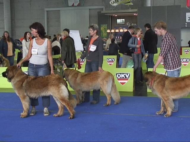 Salzburg Clubschau Mai 06 130 